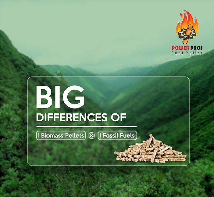 Big Differences between Biomass Pellets and Fossil Fuels